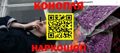 PSILOCYBIN Ипатово