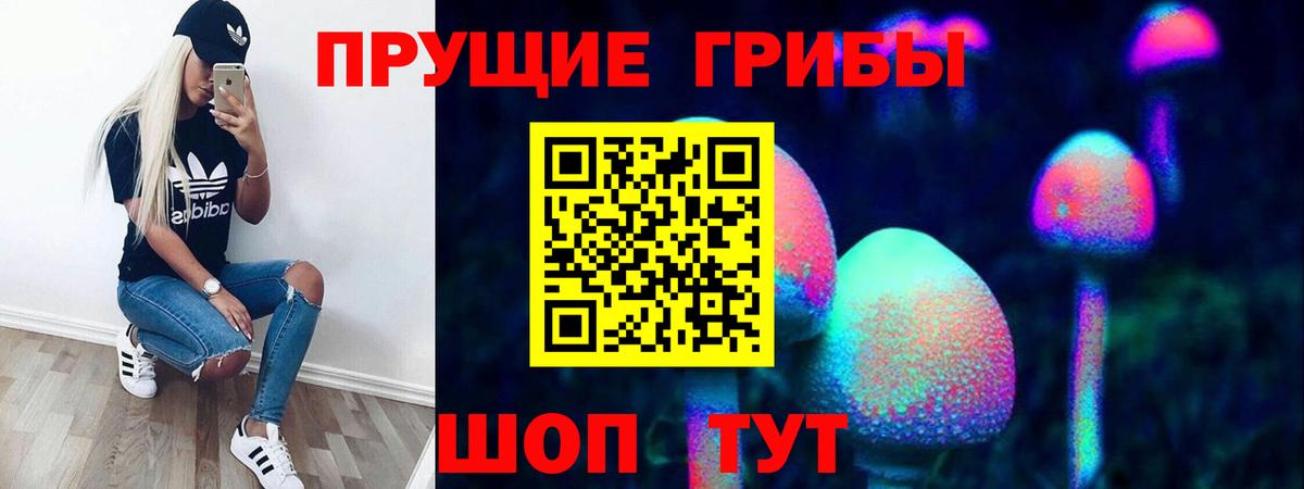 Магадан  Псилоцибиновые грибы MAGIC MUSHROOMS  Вход с VPN 